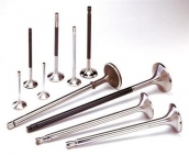 Exhaust valve
